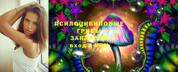 PSILOCYBIN Балахна